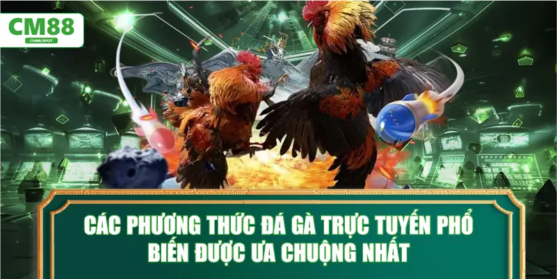 Các phương thức đá gà trực tuyến phổ biến được ưa chuộng nhất