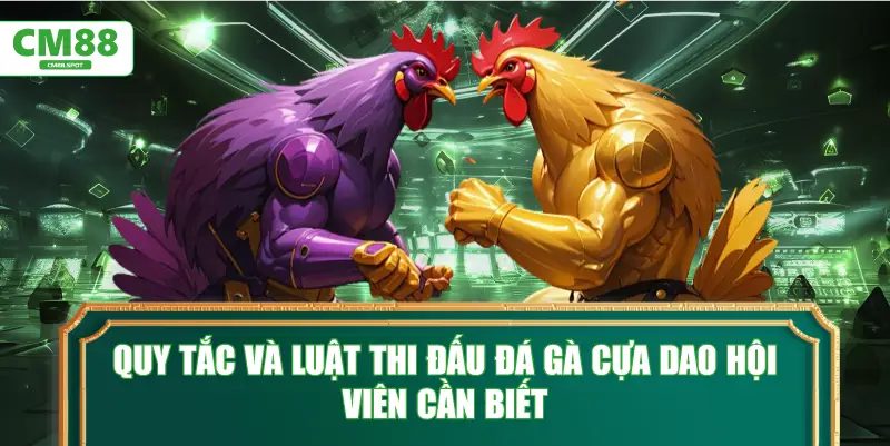 Quy tắc và luật thi đấu đá gà cựa dao hội viên cần biết