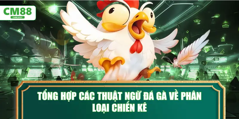 Tổng hợp các thuật ngữ đá gà về phân loại chiến kê